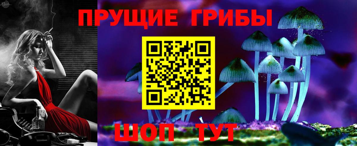 магазин продажи   Псилоцибиновые грибы MAGIC MUSHROOMS  Вход с VPN  Борзя 